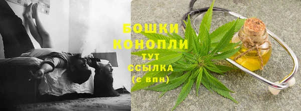мет Бородино