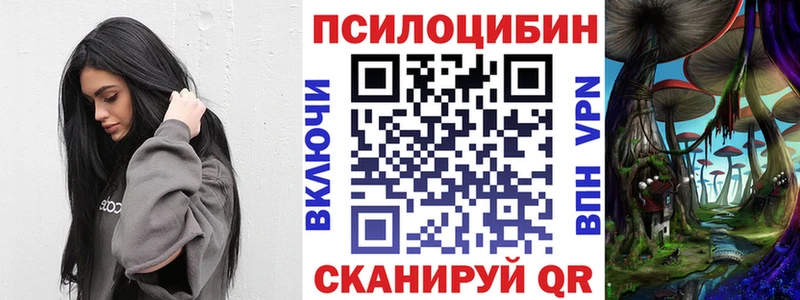 MEGA   купить наркотик  Таганрог  Псилоцибиновые грибы Magic Shrooms 